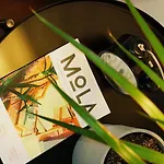 Hotel House Mola Galata 2*