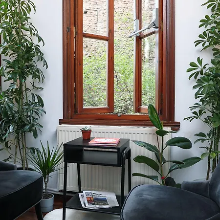 House Mola Galata 伊斯坦布尔